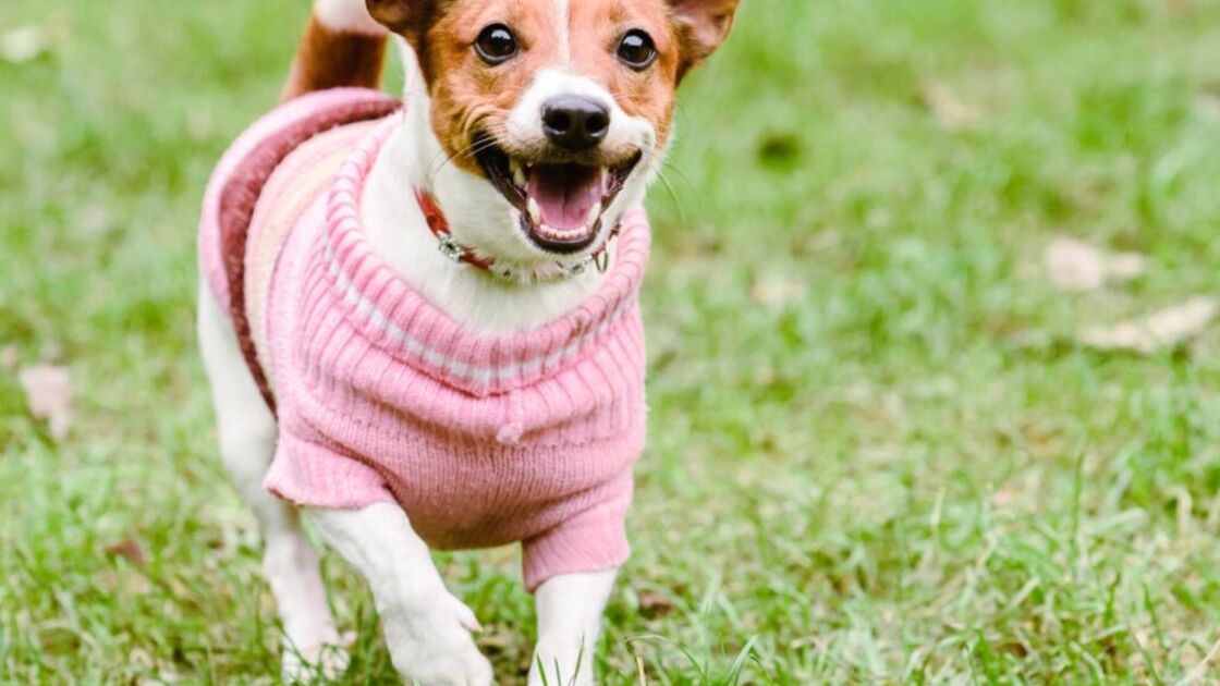 4227