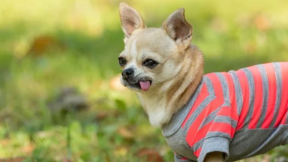 4228
