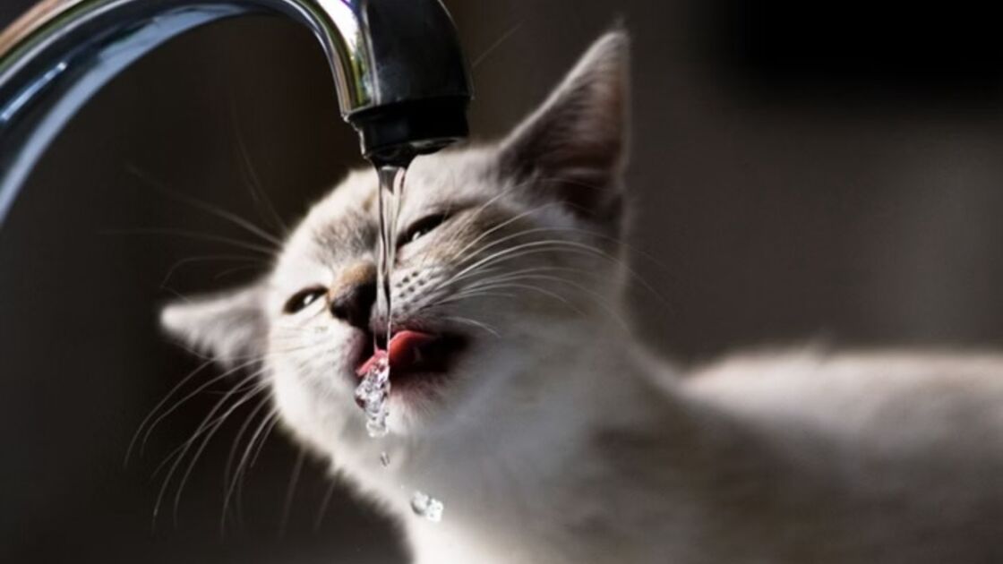 4731