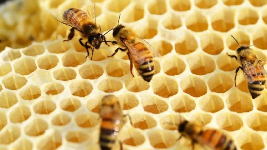 4905