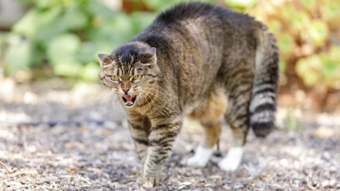 5056