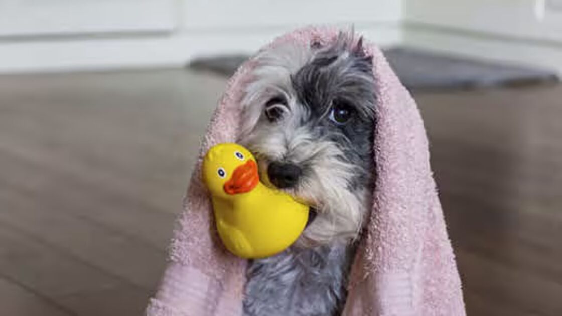 5059