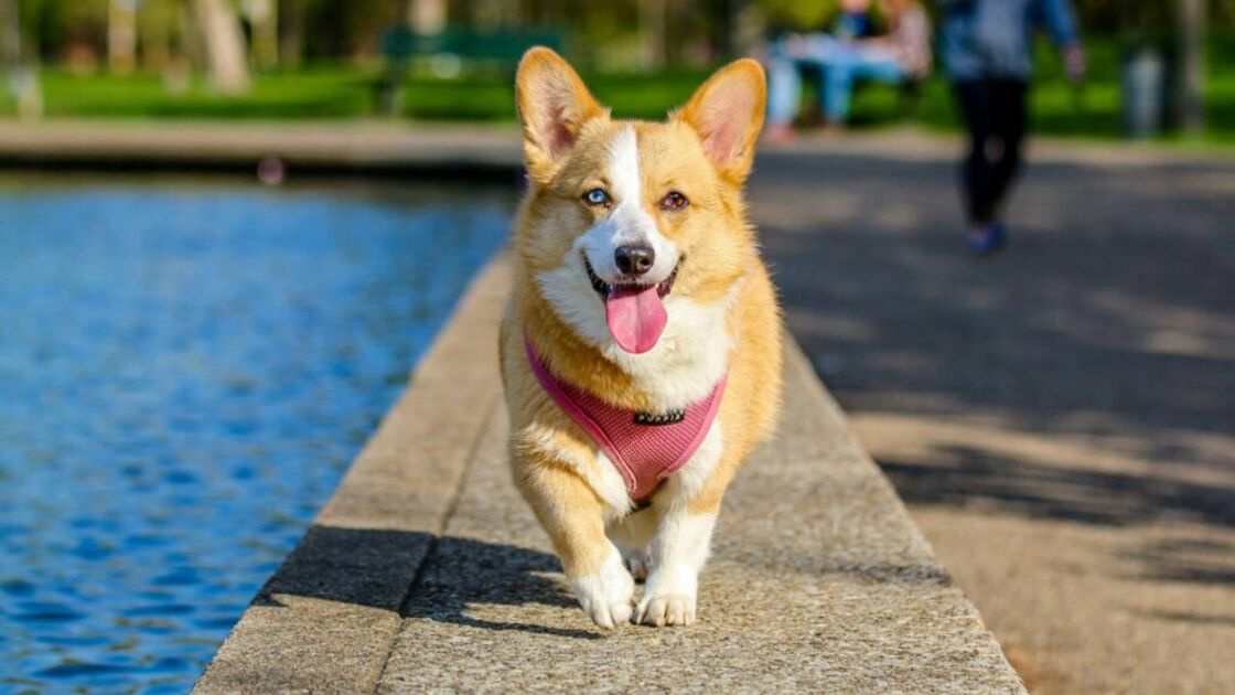 5126
