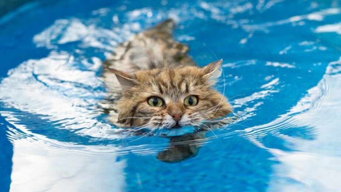 5189