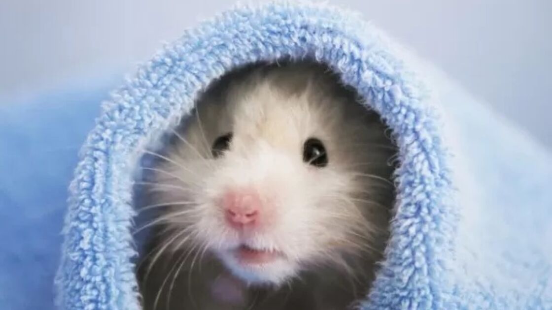 5221