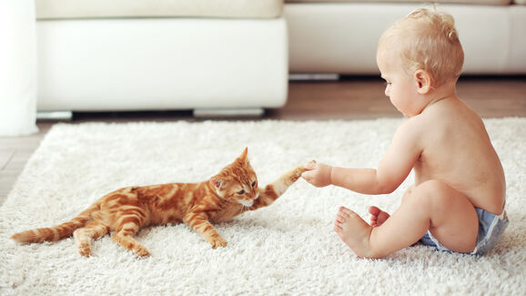 gato-e-bebe