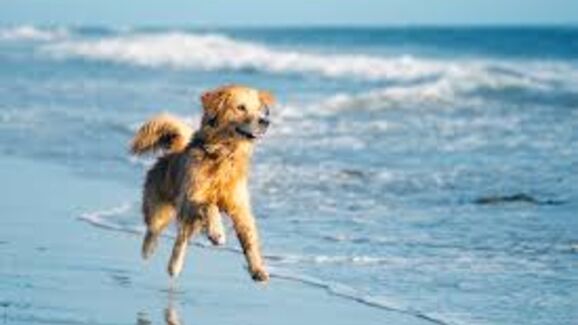 images (3)