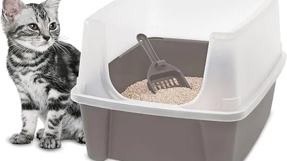 caixa de areia gato 