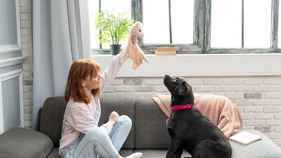 Cão usa o olfato para aprender truques com a tutora