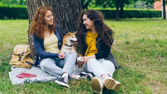 Cafés e bares pet friendly em Portugal permitem momentos agradáveis com o seu patudo.
