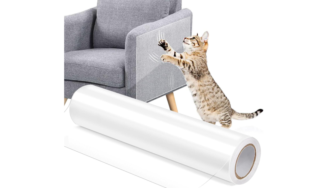 Proteja o seu sofá com este escudo invisível e resistente para gatos da Amazon