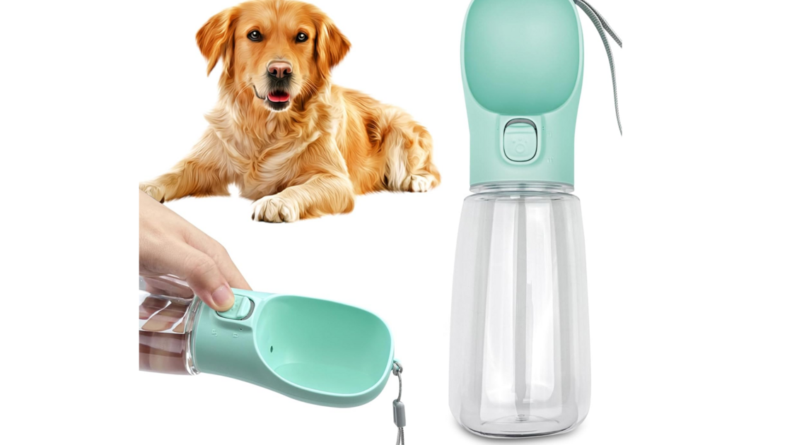 Bebedouro portátil para cães: solução prática para passeios sem sede