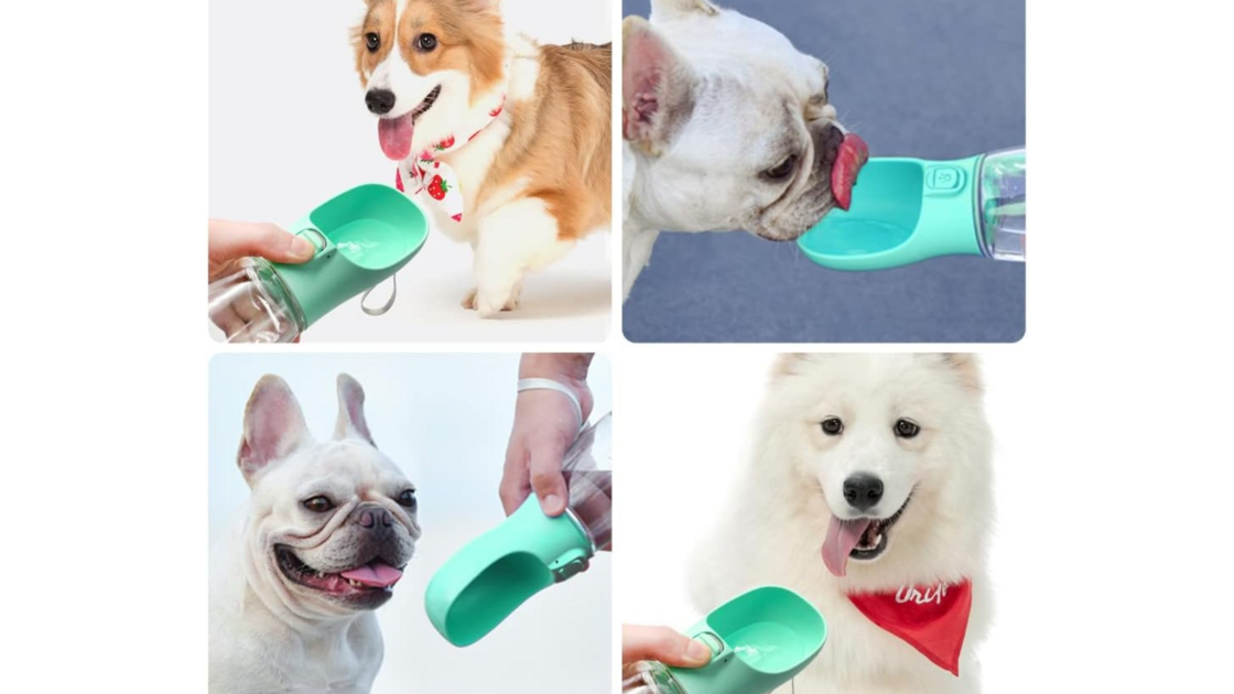 Bebedouro portátil garante hidratação e bem-estar para cães