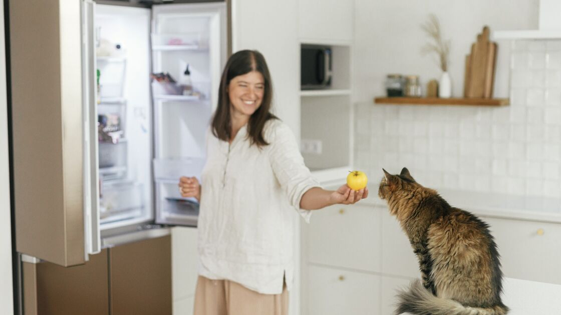 Gato observa mulher com maçã perto de frigorífico aberto