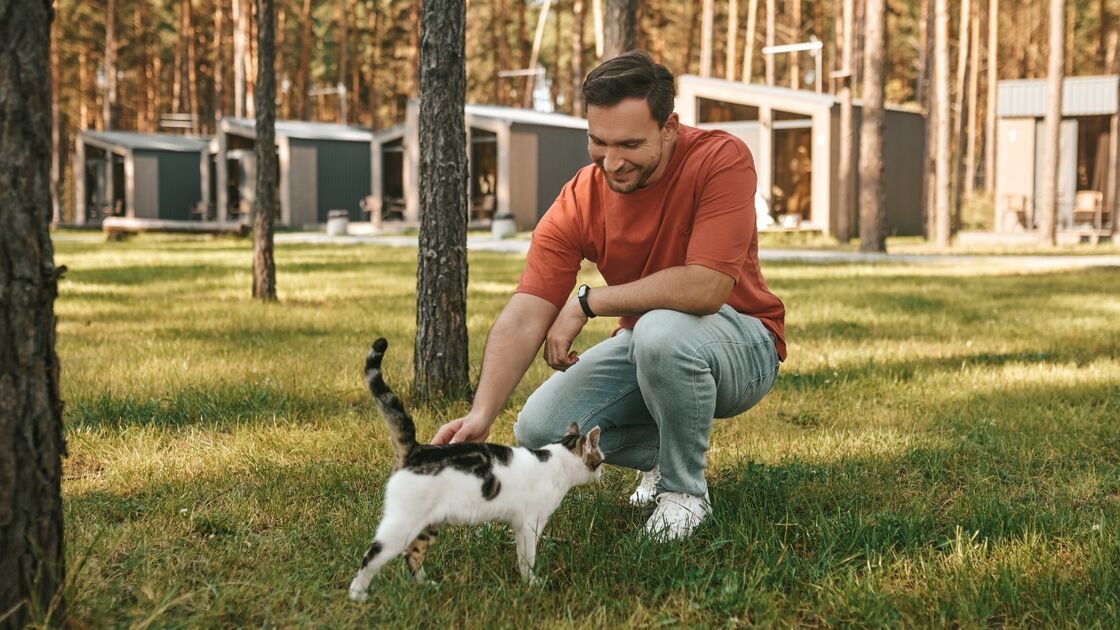 Homem acaricia um gato num parque soalheiro perto de cabanas de madeira