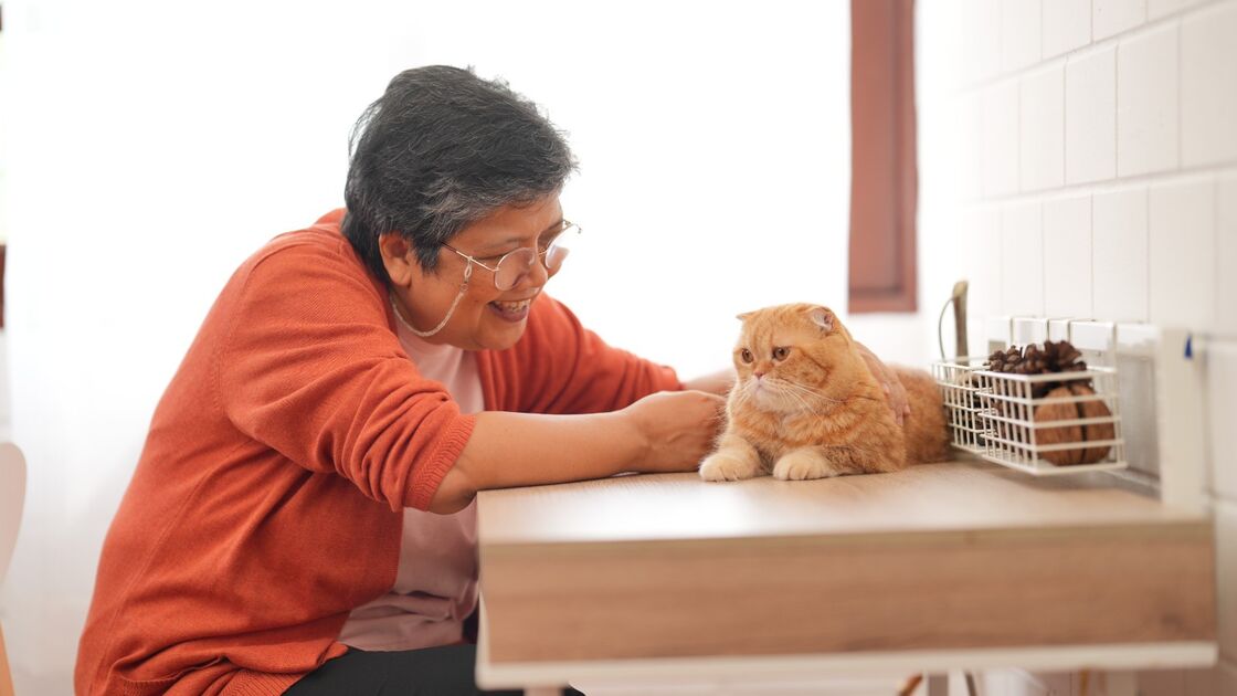 Mulher sorri para gato laranja numa mesa, criando um momento de ternura