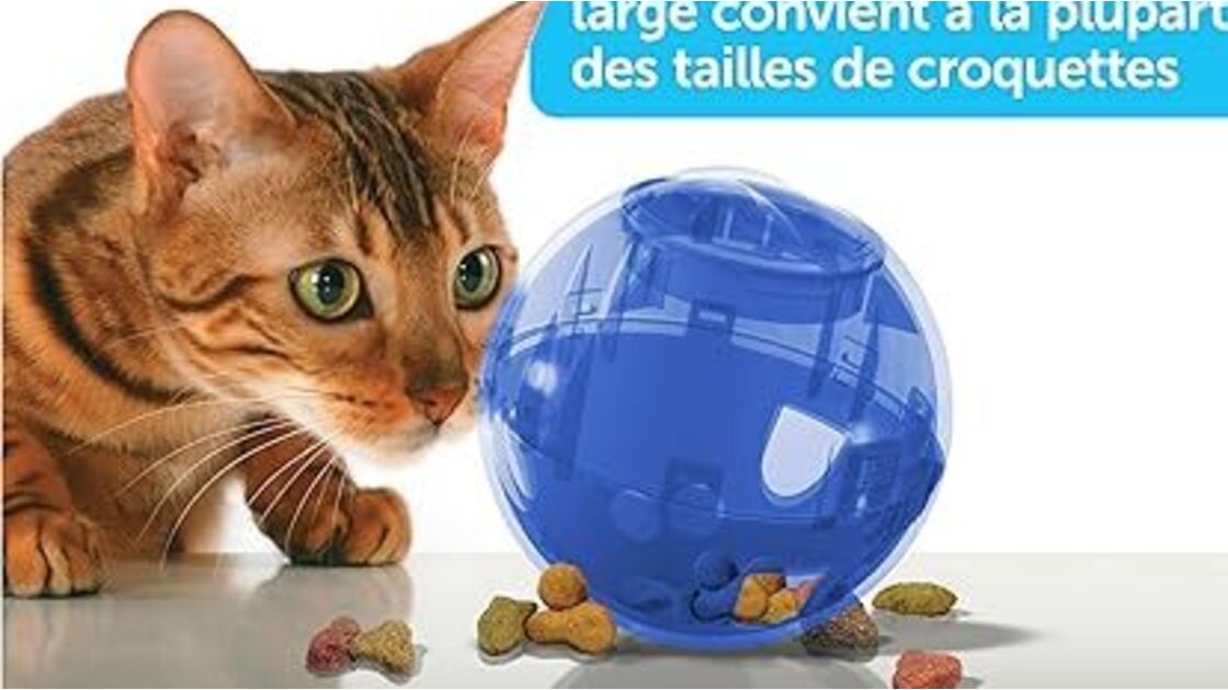 PetSafe Slimcat