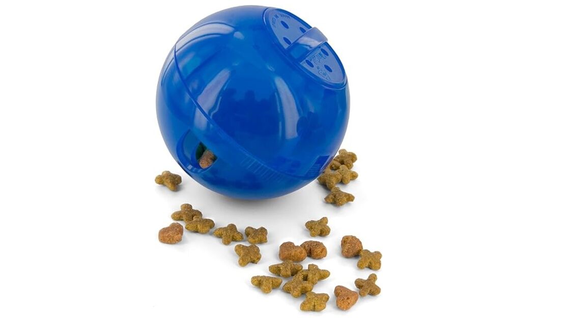 Bola Slimcat para gatos: diversão, exercício e recompensa saudável