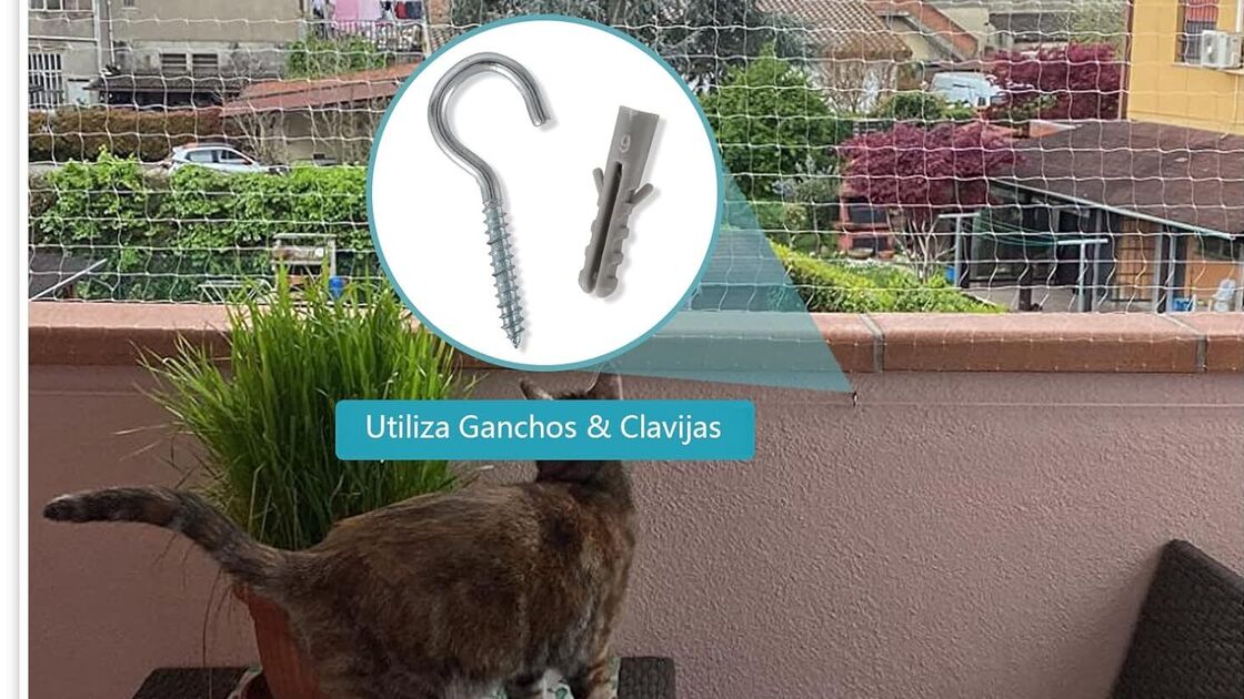 Redes de proteção garantem segurança para gatos curiosos em varandas e janelas