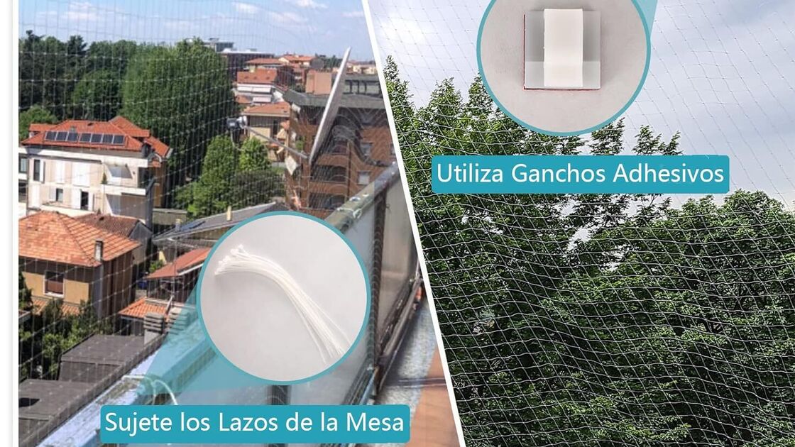 Redes de proteção permitem segurança para gatos em janelas e varandas
