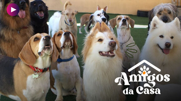 EPISÓDIO_Amigos da Casa-Tia Beu