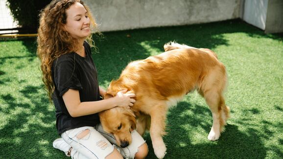 dona com cão a brincar