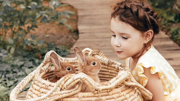 Menina observa coelhos numa cesta, animais com mudança de comportamento no verão