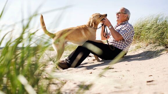 Homem brinca com cão na praia num dia de sol