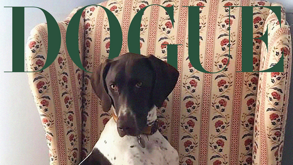Tango - Vencedor da Dogue 2025.webp