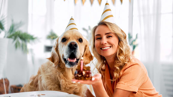 Dia Mundial do Cão: Ideias para celebrar com o patudo