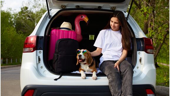 Cão de óculos viaja com jovem e mala cor-de-rosa