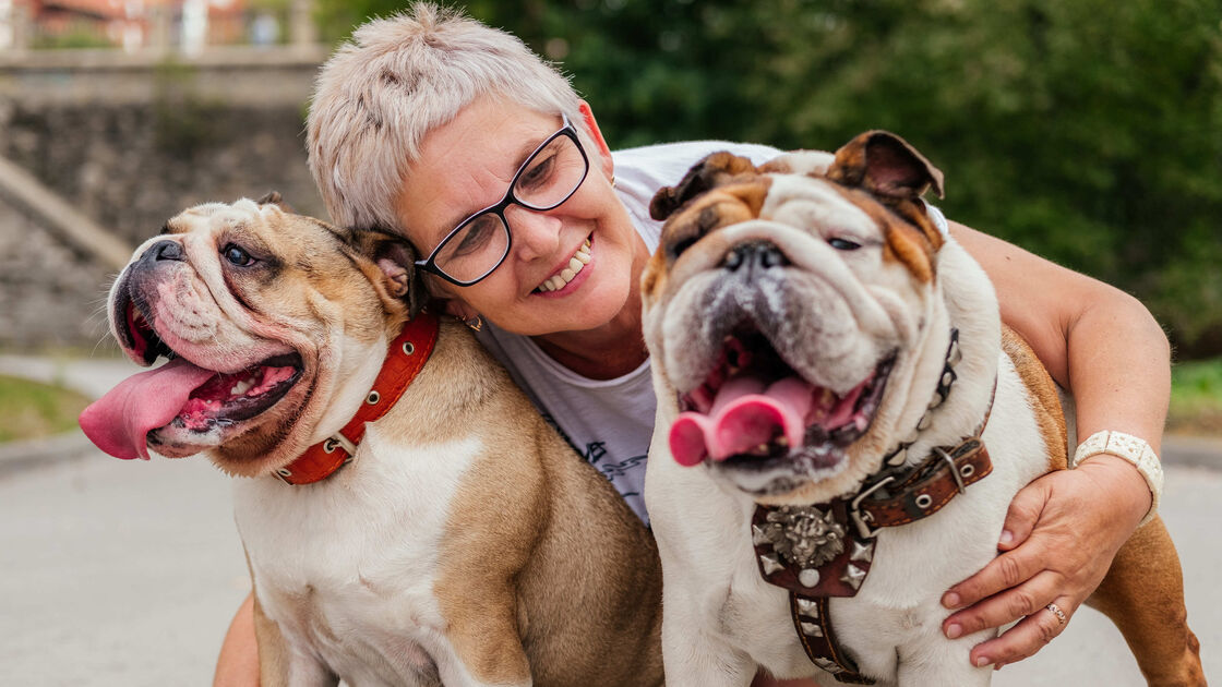 Cuidado com cães braquicefálicos, como pugs e bulldogs