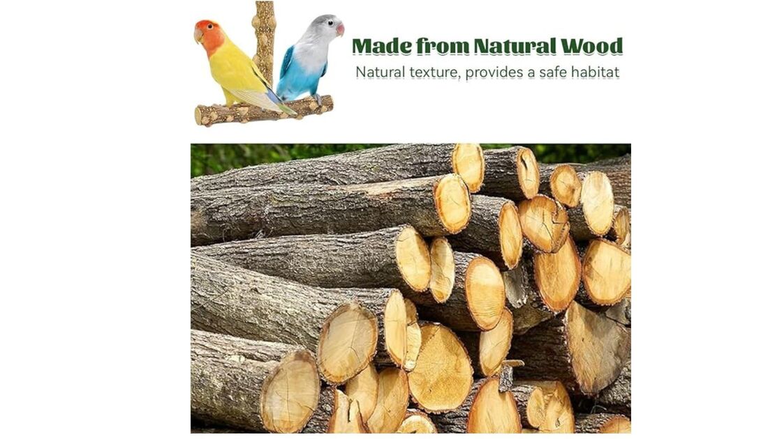 Poleiros naturais de madeira oferecem um habitat seguro para aves