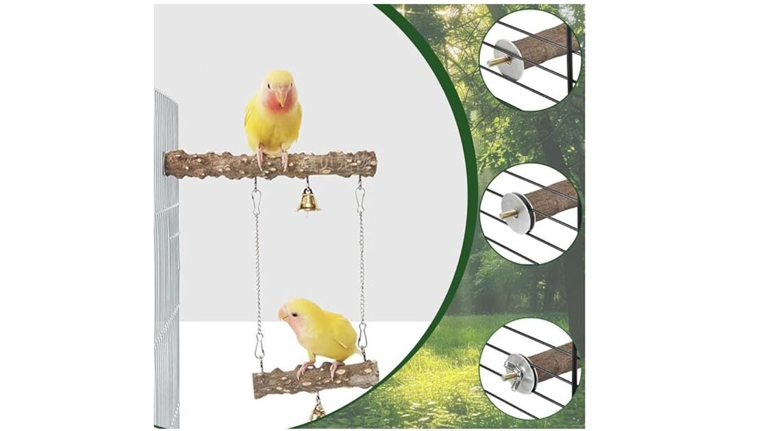 Poleiros naturais promovem saúde e bem-estar das aves, prevenindo problemas e mantendo garras e bico saudáveis