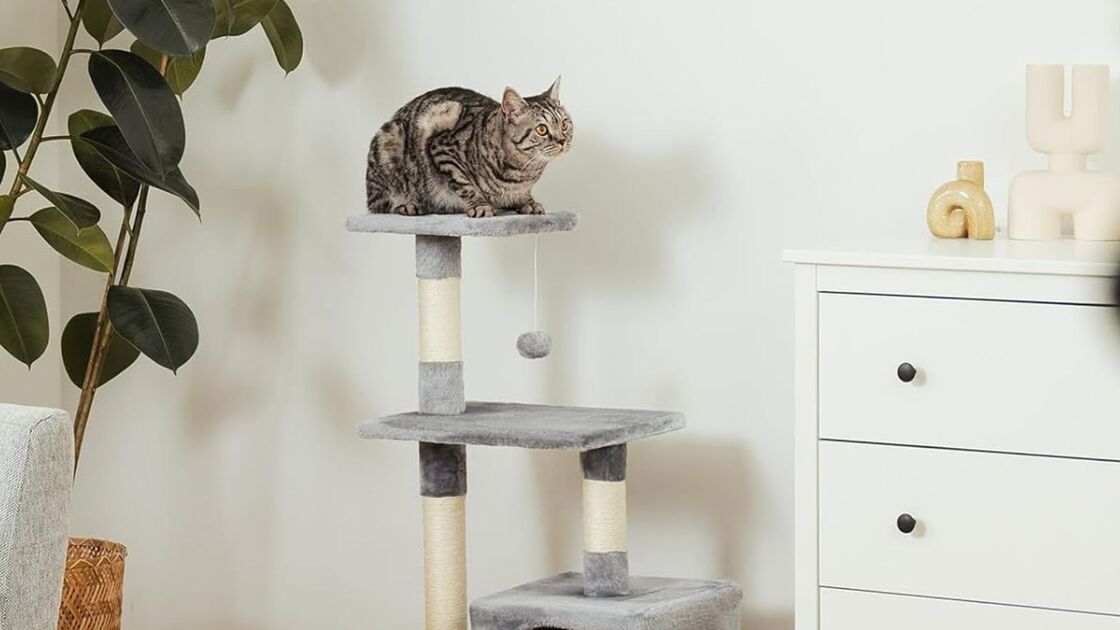 Torre para gatos Lionto garante diversão e protege os seus móveis