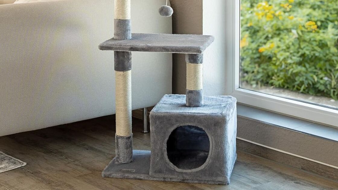 Gatos ativos e móveis protegidos com uma torre arranhadora