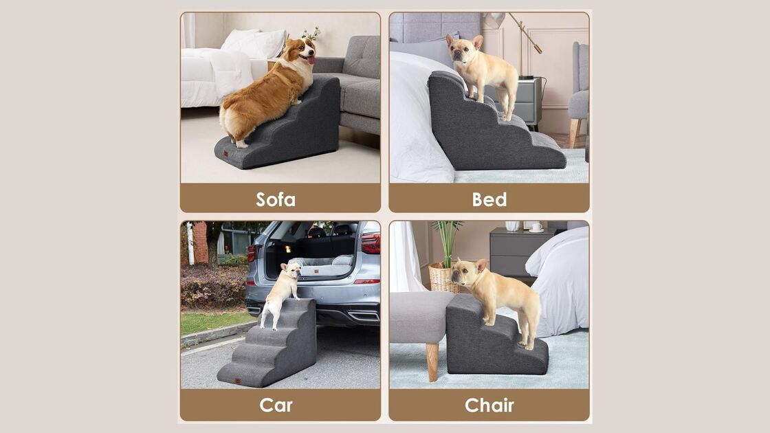 Degraus para cães pequenos facilitam o acesso a sofás, camas, carros e cadeiras, protegendo as articulações