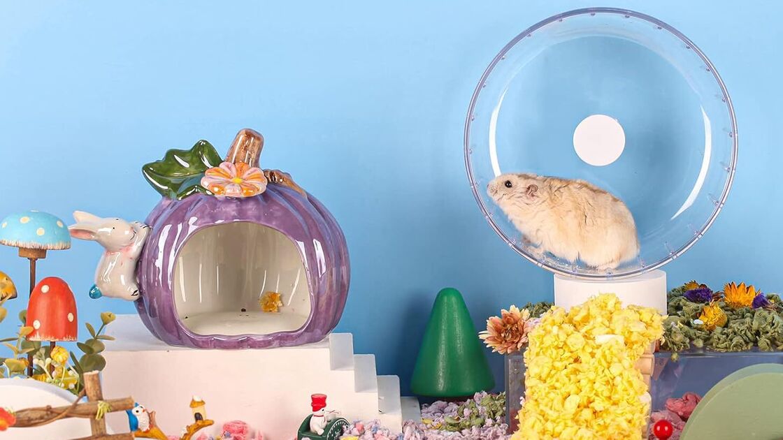 Roda de hamster promove diversão e exercício para o seu animal de estimação