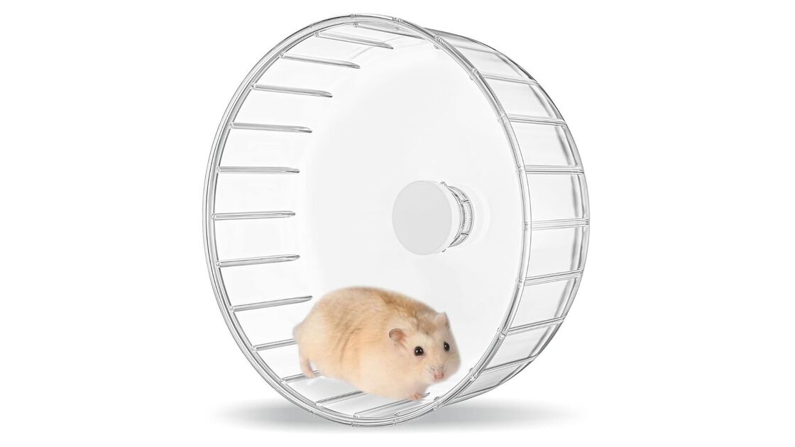 Roda de hamster promove diversão e exercício para o seu animal de estimação
