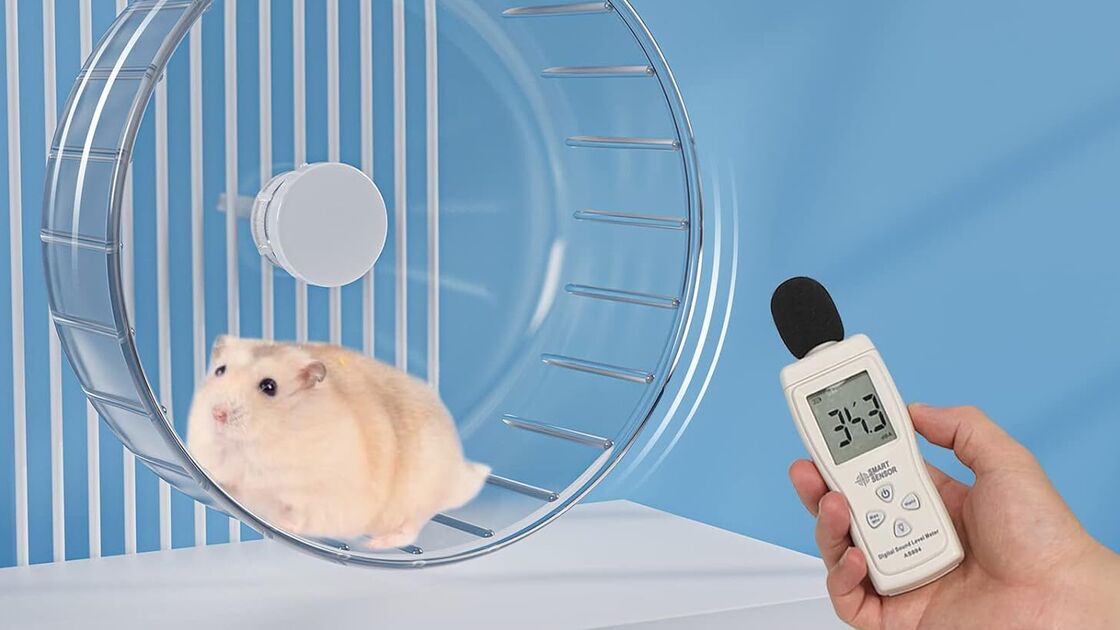 Nova roda silenciosa para hamster garante diversão e exercício ao seu animal