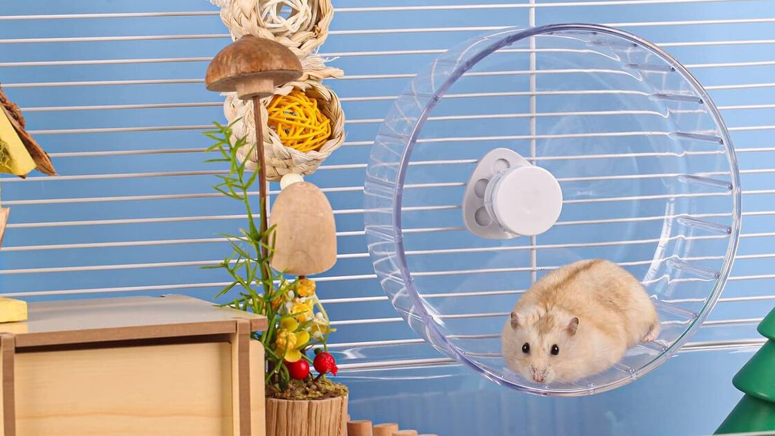 Roda estável, suave e durável para diversão e exercício de hamsters