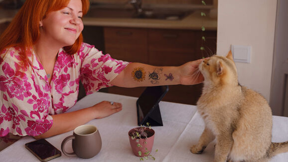 Beber um café enquanto faz festinhas a um gato? Conheça estes 2 