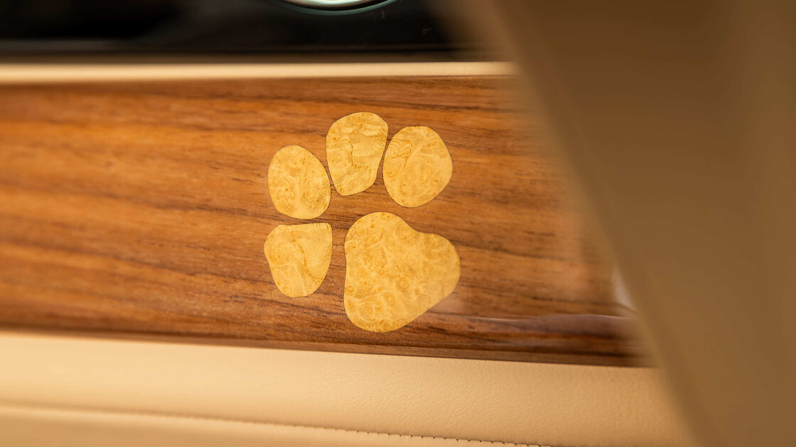 Rolls-Royce cria Spectre Bailey, homenagem canina de casal americano ao seu cão, Bailey