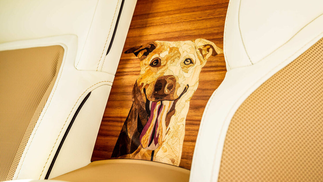 Rolls-Royce Spectre homenageia Bailey, cão de clientes nos Estados Unidos