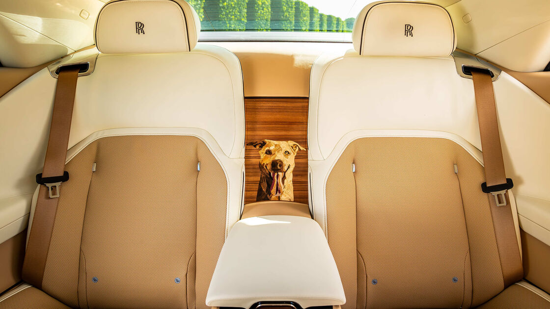 Rolls-Royce Spectre tem tributo a cão de clientes, Bailey, um cruzado Labrador/Golden Retriever