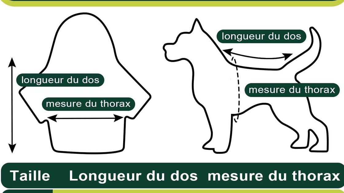 Tabela de tamanhos para colete refletor de animais