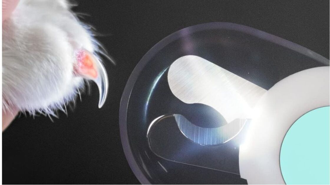 Corta-unhas com luz auxilia a aparar as unhas do seu animal de estimação