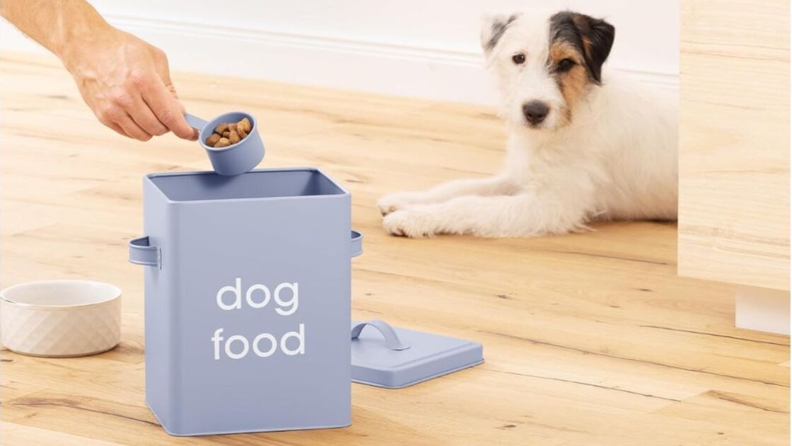 Ração para cão é armazenada em recipiente vintage para frescura