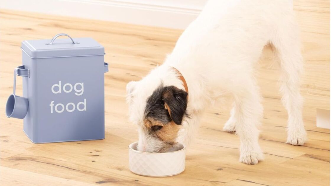 Recipiente com ração de 5.9L mantém a comida do cão fresca e saborosa