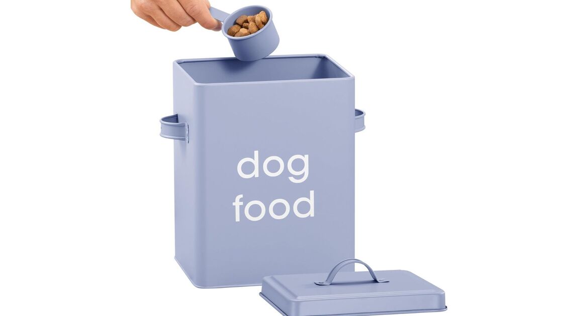 Ração para cão: mantenha a comida fresca e saborosa